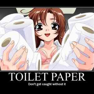Obrázek 'Toilet paper - 29-04-2012'