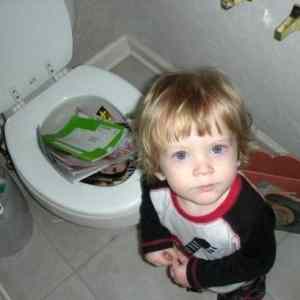 Obrázek 'Toilets Clogged 19-03-2012'