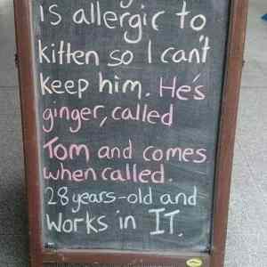 Obrázek 'Tom&nbsp;the&nbsp;alergic'