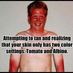 Obrázek 'Tomato and albino'