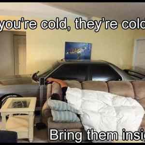 Obrázek 'Too Cold Out There'