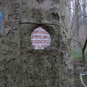 Obrázek 'Trespass 26-03-2012'