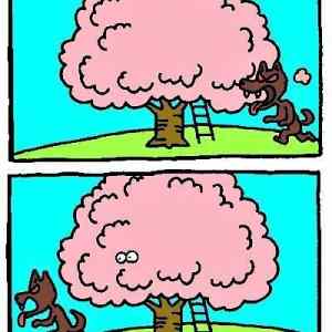 Obrázek 'Trick&nbsp;031011'