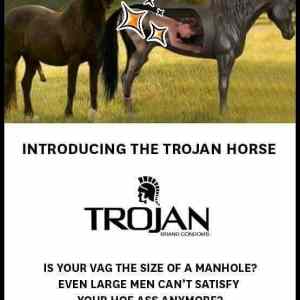 Obrázek 'Trojan-Horse'