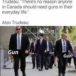 Obrázek 'Trudeau and gun ownership'