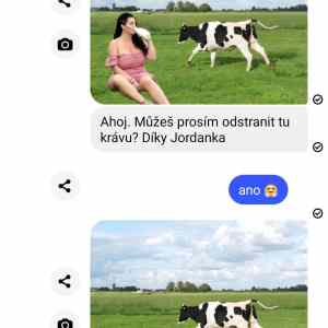 Obrázek 'Tu kravu'