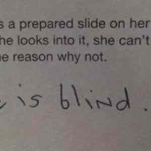 Obrázek 'Tuche&nbsp;'