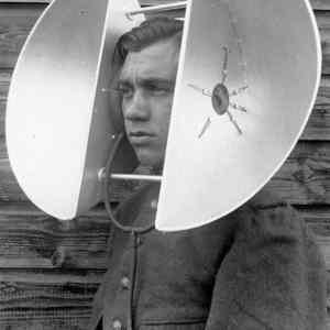 Obrázek 'Tulips and two gigantic ears'