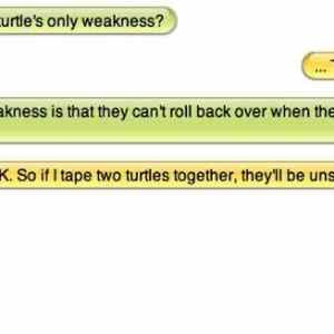 Obrázek 'Turtles'