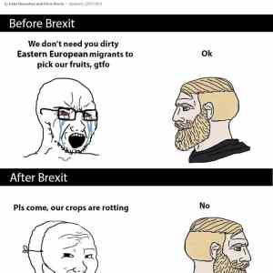 Obrázek 'Two-stages-of-Brexit'