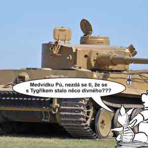 Obrázek 'Tygrik2'