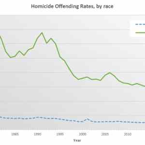 Obrázek 'USA Homicide Offending Rates By Race'