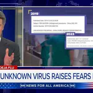 Obrázek 'Uknown Virus Raises Fear in China.jpg'