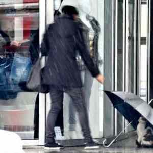 Obrázek 'Umbrella Cat'