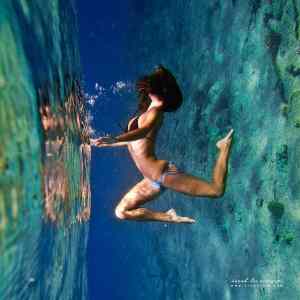 Obrázek 'Underwater 27-03-2012'