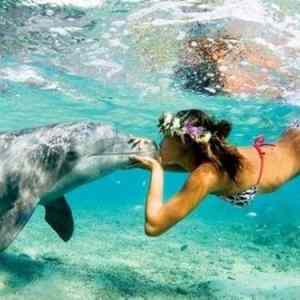 Obrázek 'Underwater kiss'