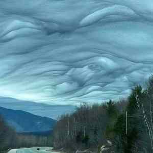 Obrázek 'Undulatus Asperatus'