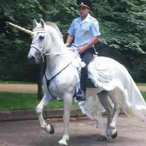 Obrázek 'Unicorn Police'