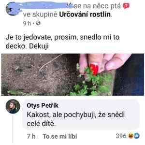 Obrázek 'Urcovani rostlin'