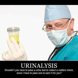 Obrázek 'Urinalysis  '