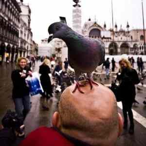 Obrázek 'Urobime super foto'