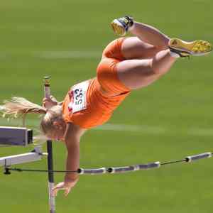 Obrázek 'Vaulting  '