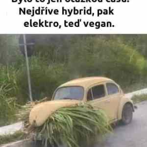 Obrázek 'VeganCar'