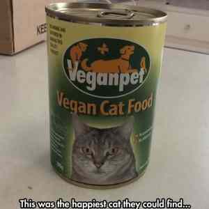 Obrázek 'Vegan Cat Food'
