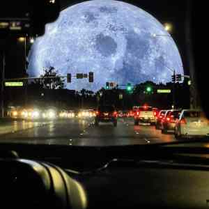 Obrázek 'Vegas Sphere again '