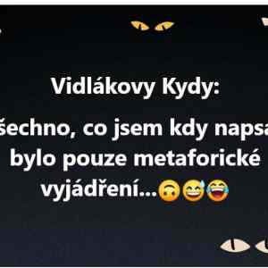 Obrázek 'Vidlak kontruje'