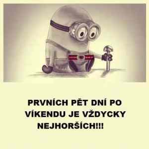 Obrázek 'VydrzPrtkaVydrz'