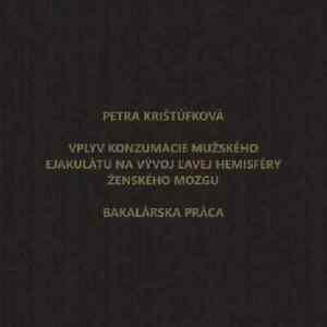 Obrázek 'Vyskum'