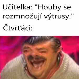 Obrázek 'Vytrusy hehe'