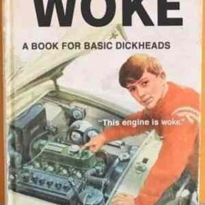 Obrázek 'WOKE' Obrázek 'WOKE'