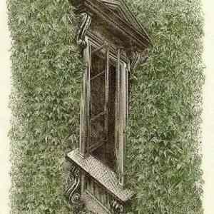 Obrázek 'Wait. . . What' Obrázek 'Wait. . . What'