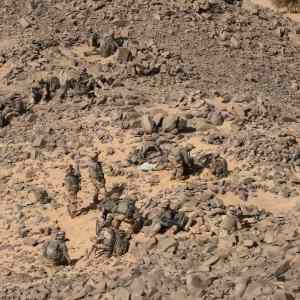 Obrázek 'WarJunkies'