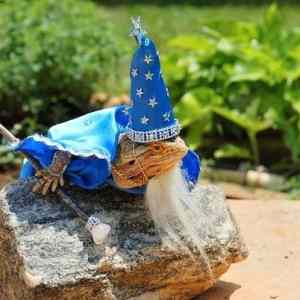 Obrázek 'Warlock 15-05-2010' Obrázek 'Warlock 15-05-2010'