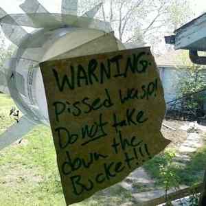 Obrázek 'Warning Pissed Wasp'