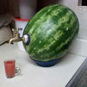 Obrázek 'Watermelon juice'