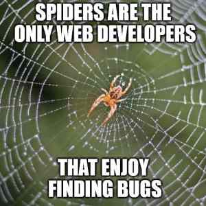 Obrázek 'Web develper with bugs'