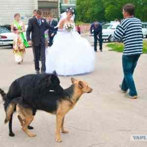 Obrázek 'Wedding Photography Fails 6'
