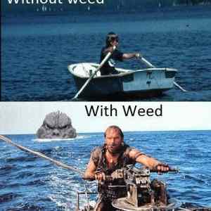 Obrázek 'Weed 291111'