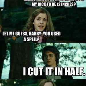 Obrázek 'Well-endowed Harry Potter 17-01-2012'