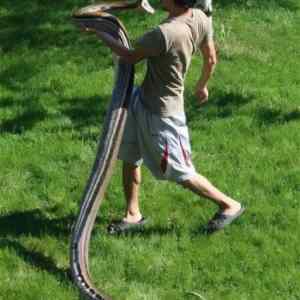 Obrázek 'Well&nbsp;Hello'