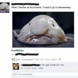 Obrázek 'What&nbsp;I&nbsp;Feel&nbsp;Like&nbsp;At'