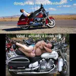 Obrázek 'What I look with my Harley Davidson'