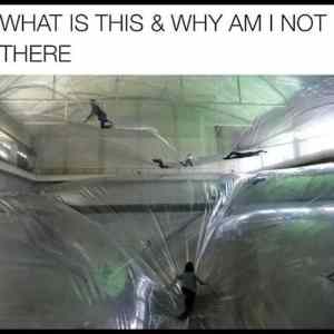 Obrázek 'What&nbsp;Is&nbsp;This7620'