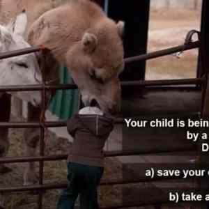 Obrázek 'What&nbsp;To&nbsp;Do&nbsp;Next'