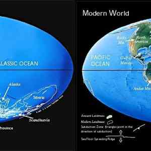Obrázek 'What difference 650 million years make 02-01-2012'