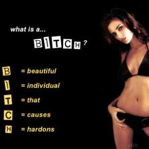 Obrázek 'What is a bitch'